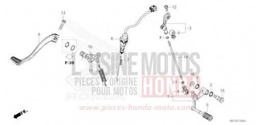 PEDALE NT1100DS de 2025